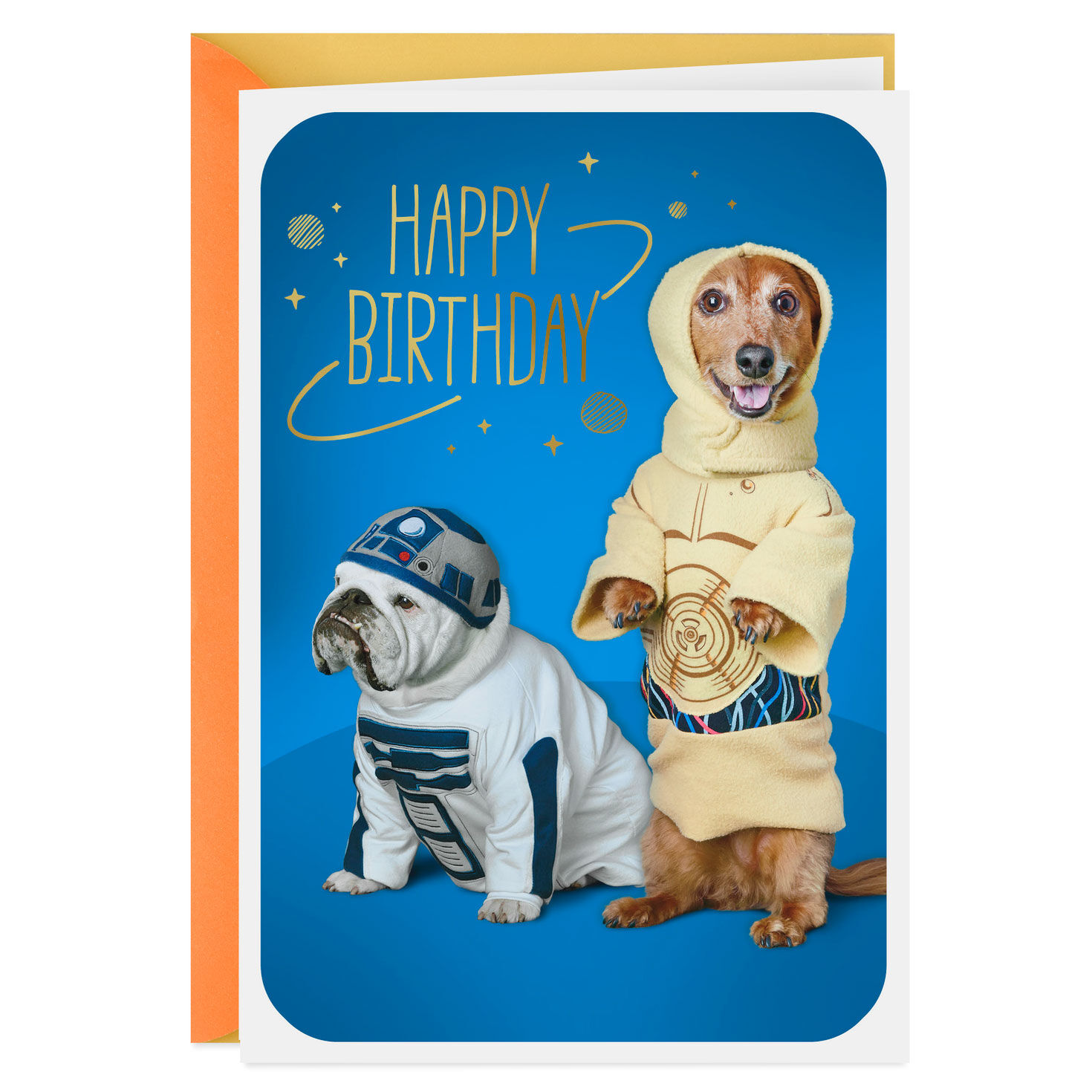Birthday Playing cards BDay Playing cards Hallmark photo regarding Dog Birthday Cards Printable Free referred to as Birthday Playing cards BDay Playing cards Hallmark